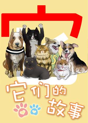 它们的故事