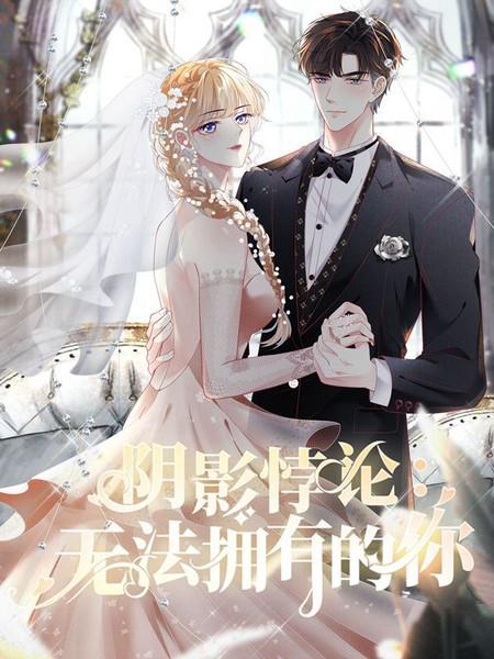 阴影悖论:无法拥有的你